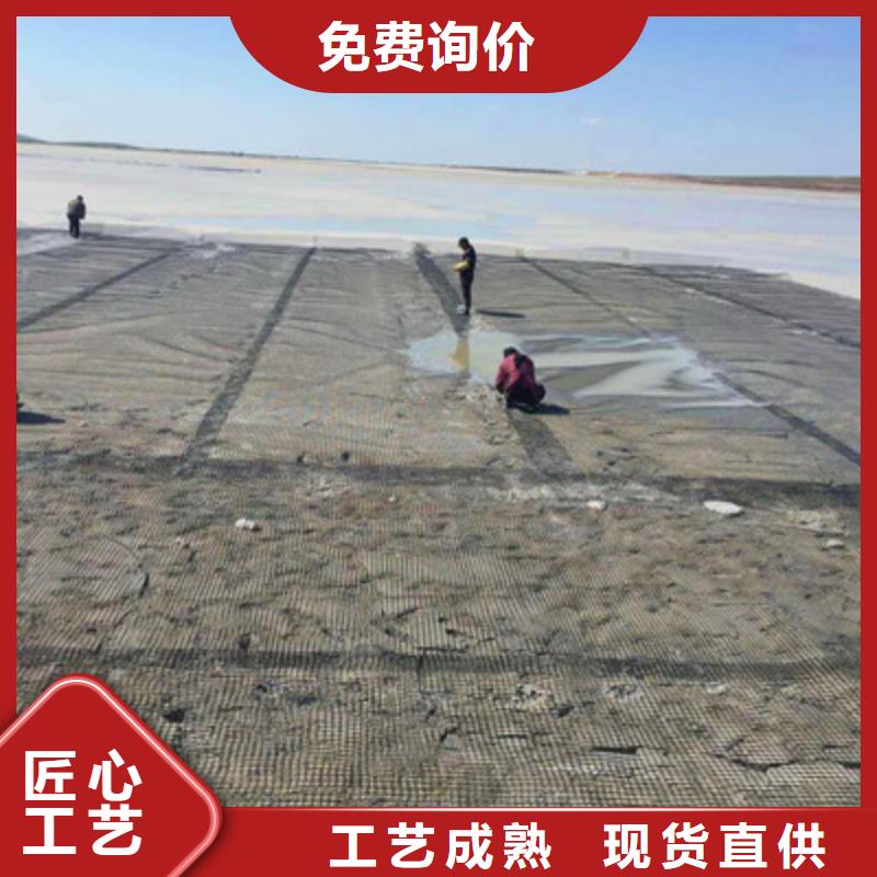 玻纤土工格栅玻纤土工格栅价格优选厂商