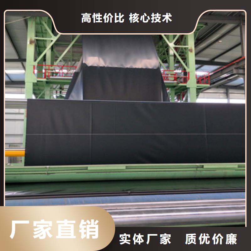 现货供应土工膜_优质厂家