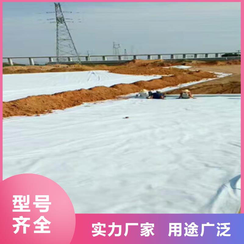 土工布厂家直销