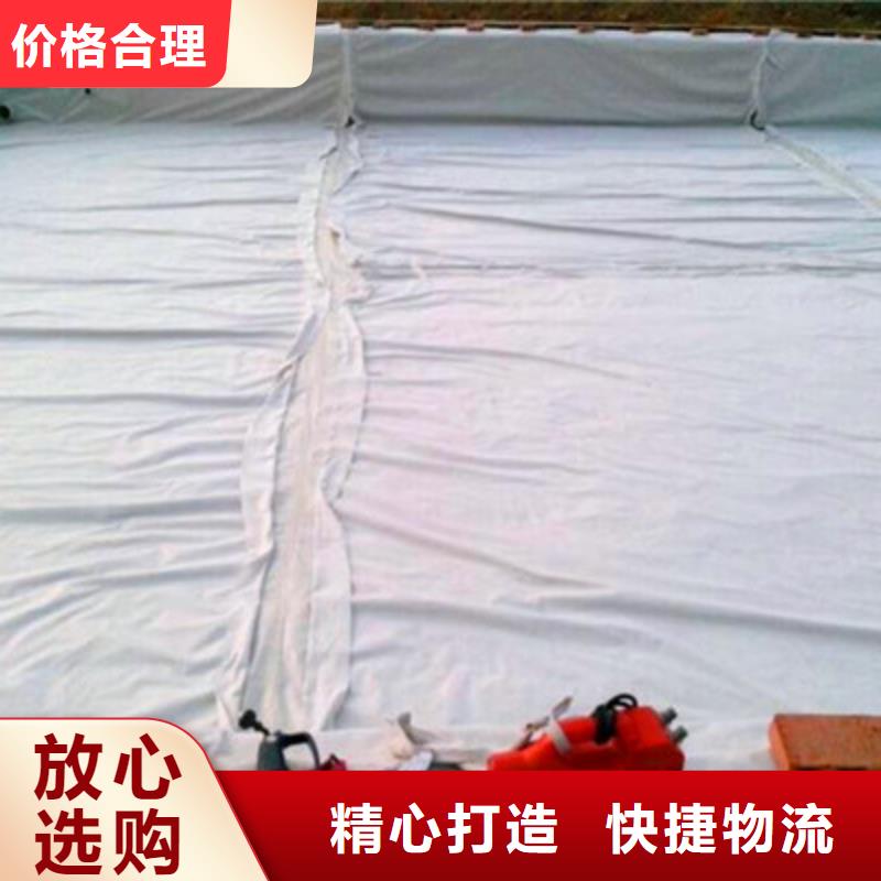 实力雄厚的土工布生产厂家来图定制量大从优