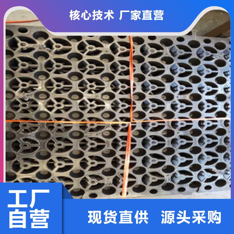 塑料排水板-超低价格