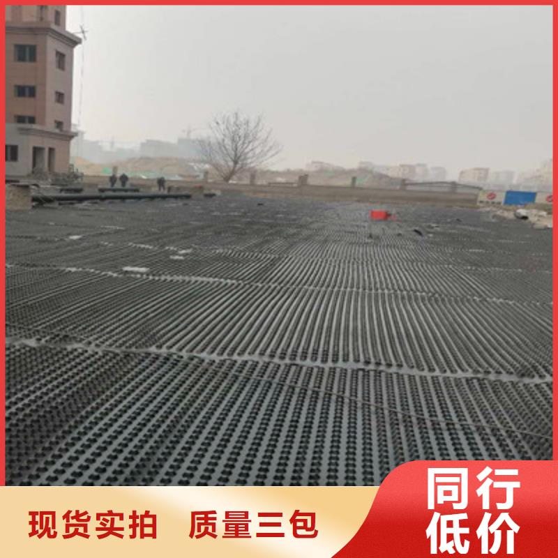 塑料排水板实体大厂