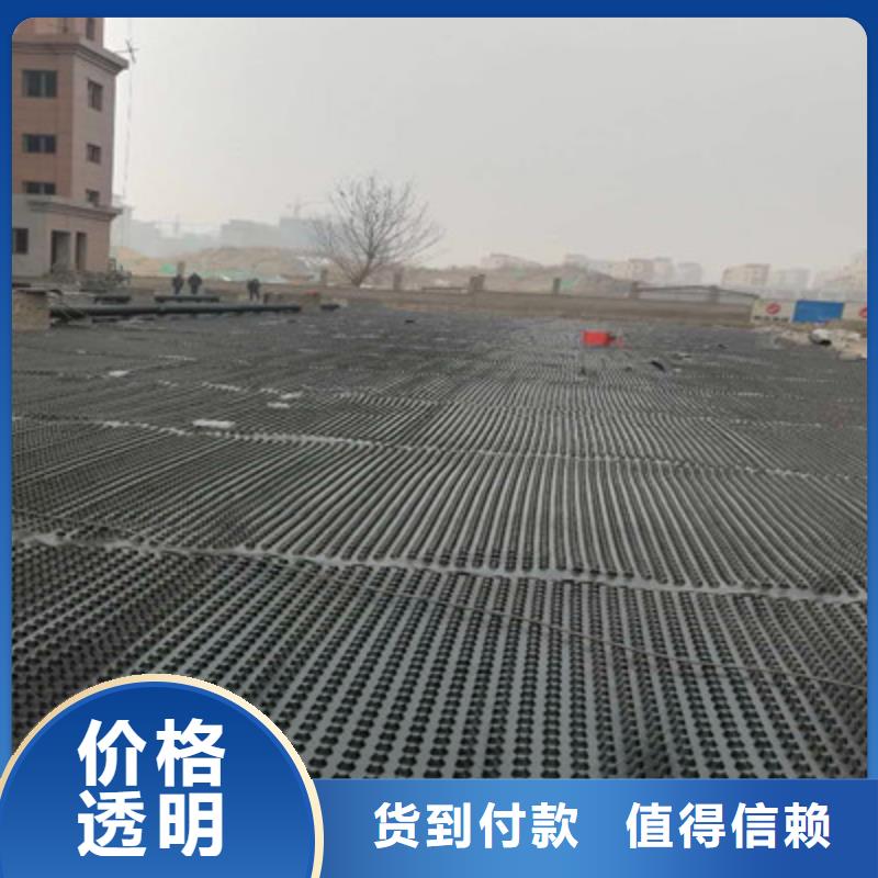 规格全的塑料排水板实体厂家