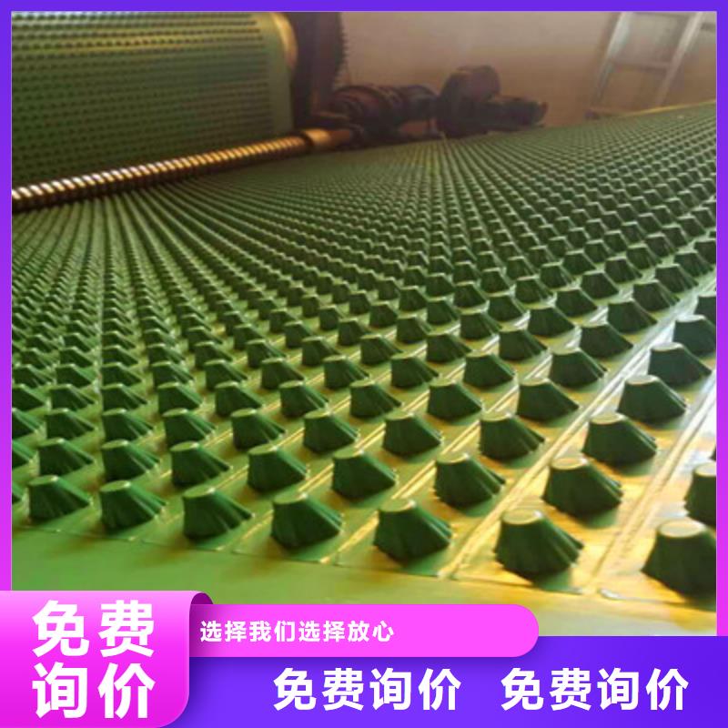 塑料排水板老品牌高品质可零售可批发