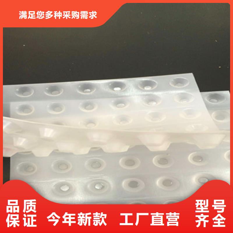 卖塑料排水板的实力厂家