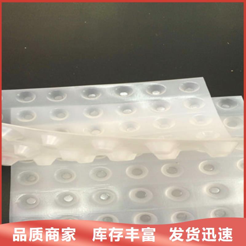 塑料排水板支持定制-这里有您想要的