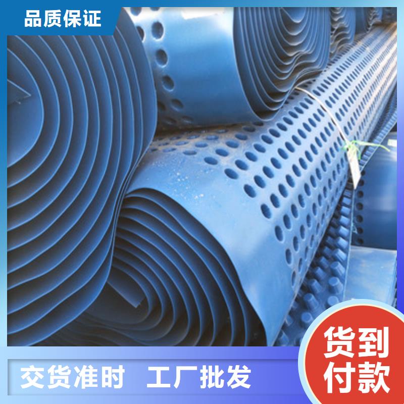 卖塑料排水板的实力厂家