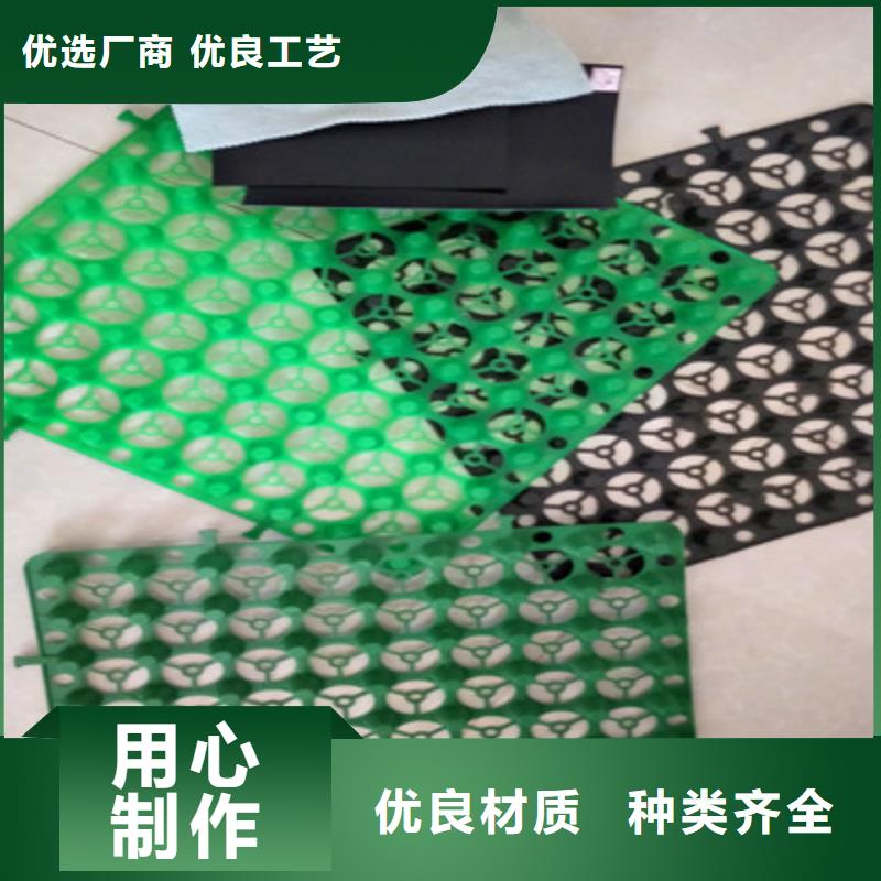 ：塑料排水板供货商源头工厂