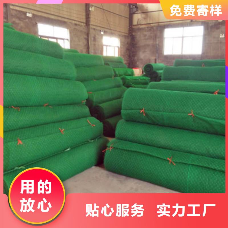 定做三维植被网的供货商当地经销商