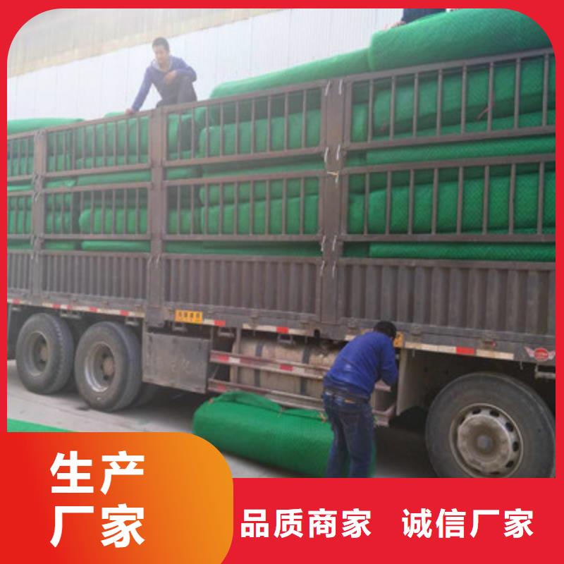 三维植被网企业-价格优惠批发货源