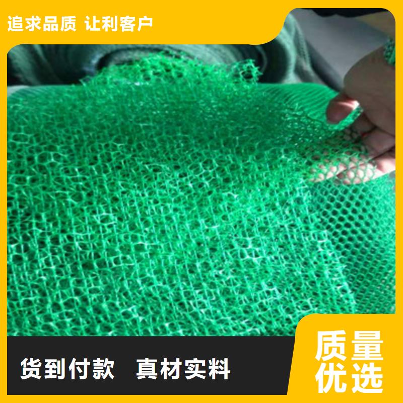 规格齐全的三维植被网厂家品质做服务