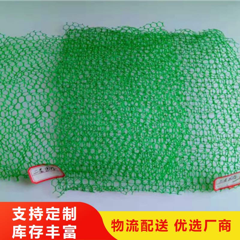 三维植被网-实体厂家加工定制