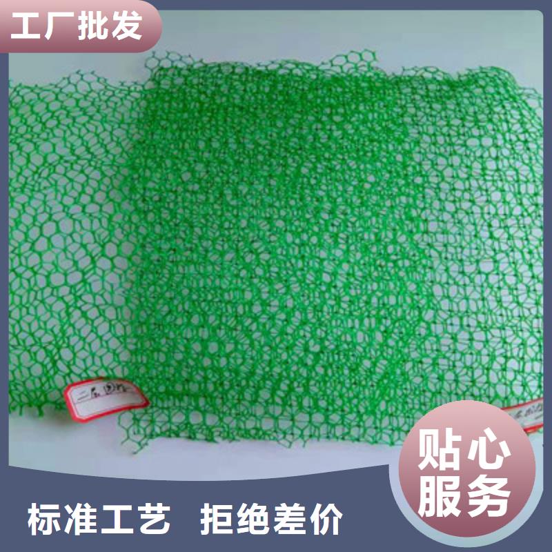 三维植被网品牌供货商一站式采购商家