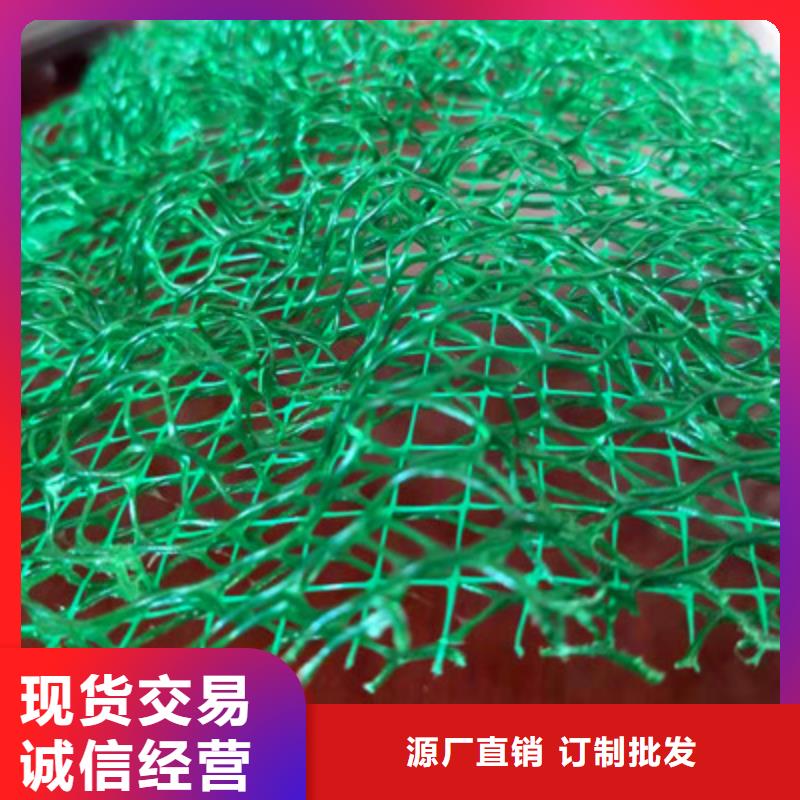 三维植被网价格实在的厂家现货