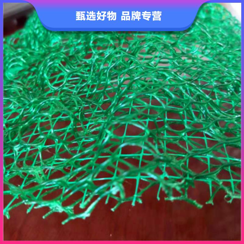 三维植被网-超低价格同城生产厂家