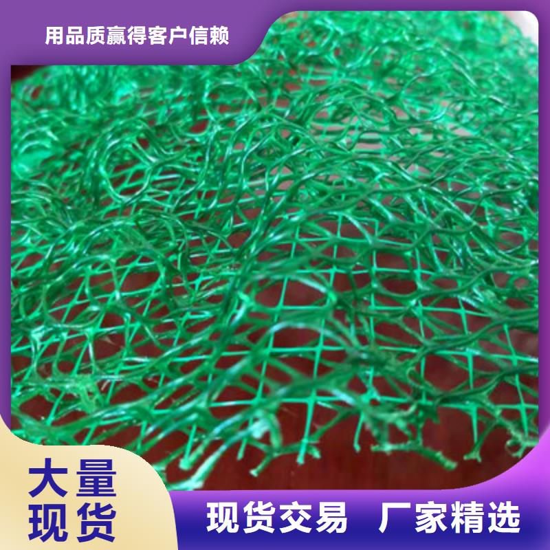 三维植被网优惠力度大优选好材铸造好品质