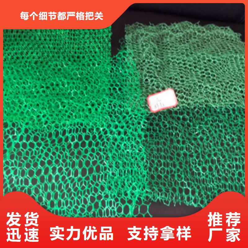 三维植被网大量现货供应专注细节专注品质