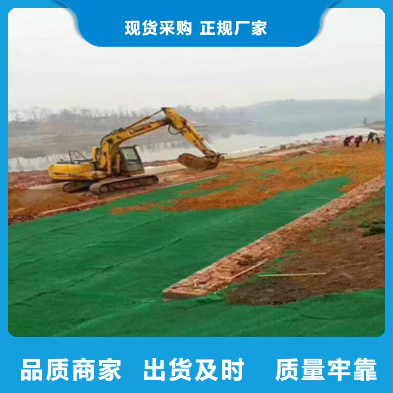 三维植被网-用心做产品随心所欲定制