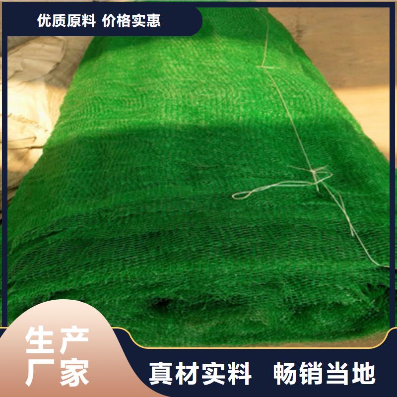 生产三维植被网的厂家原厂制造
