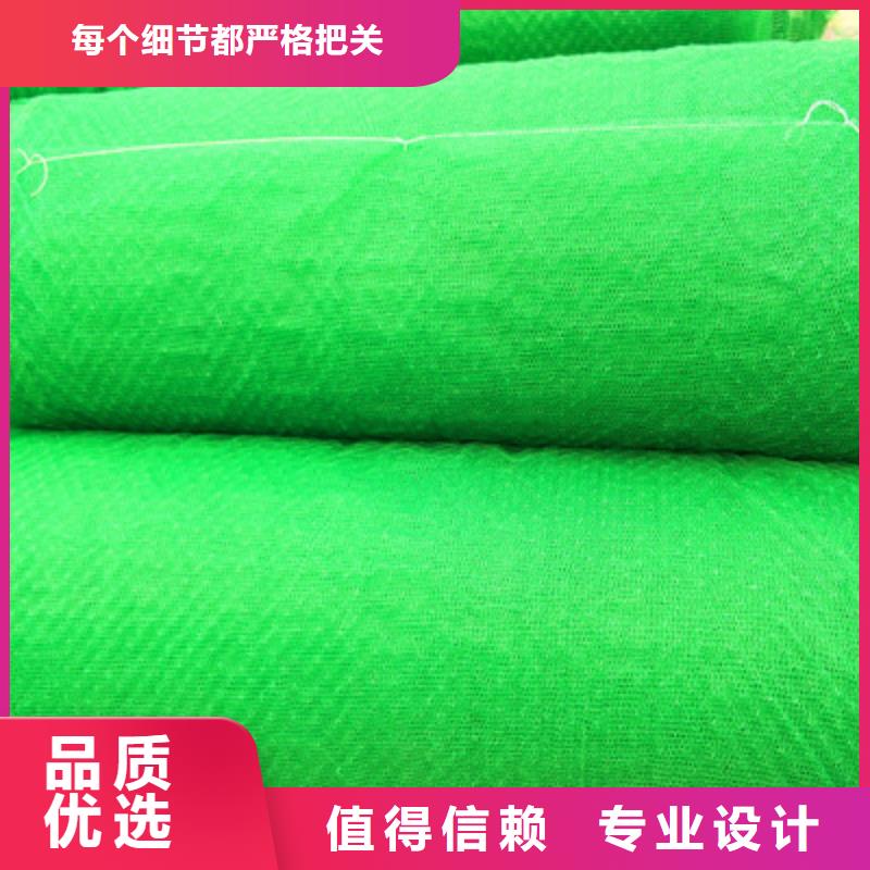 价格低的三维植被网品牌厂家打造行业品质
