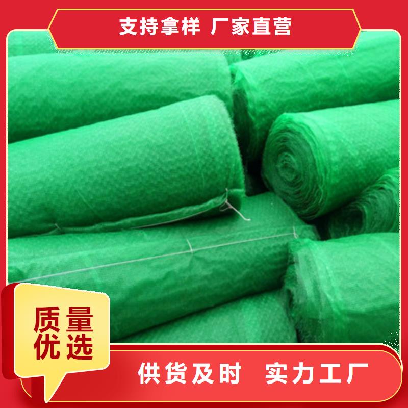 重信誉三维植被网供货厂家同城生产商