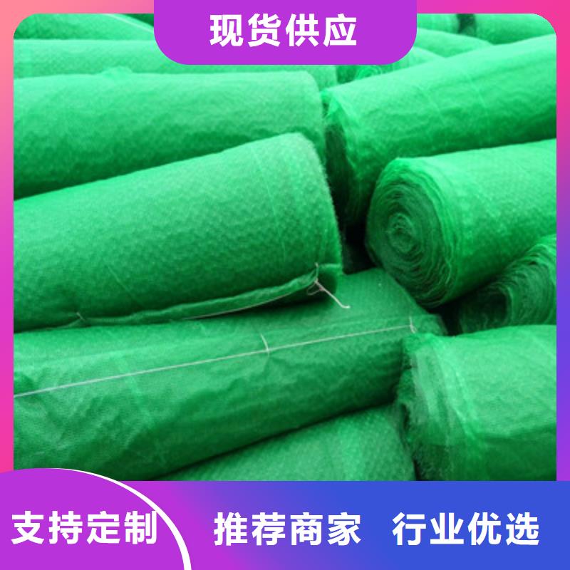 三维植被网、三维植被网厂家直销-库存充足用心制造