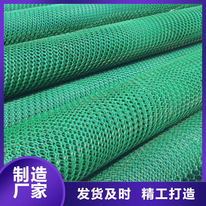 优选：封开三维植被网供应商