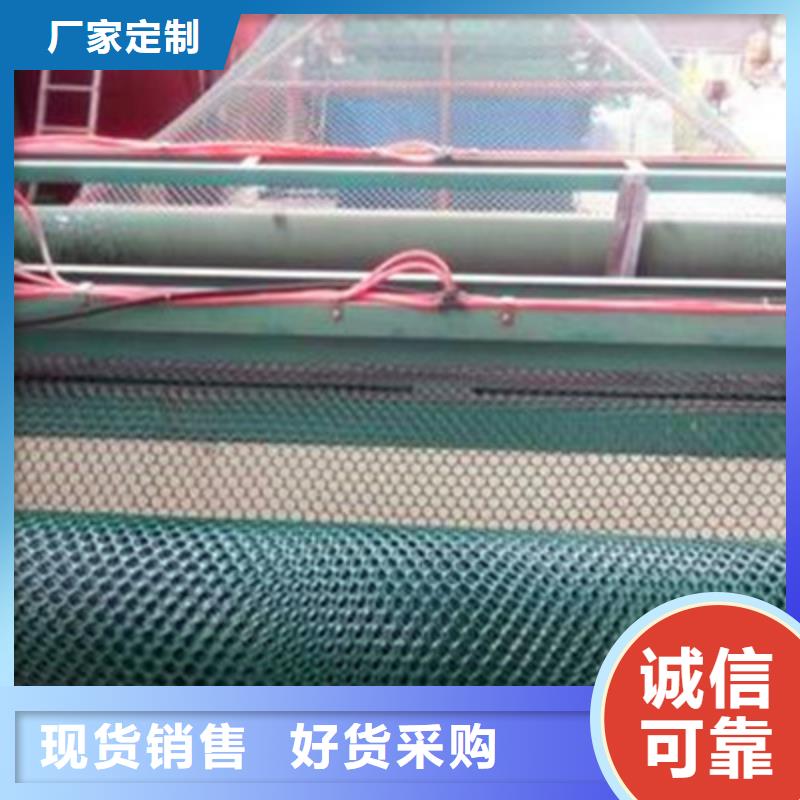 三维植被网实业厂家免费寄样