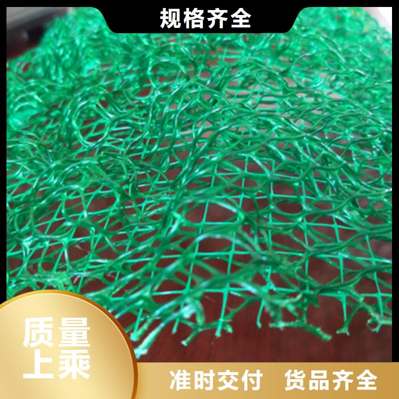 三维植被网厂家信誉好品牌专营