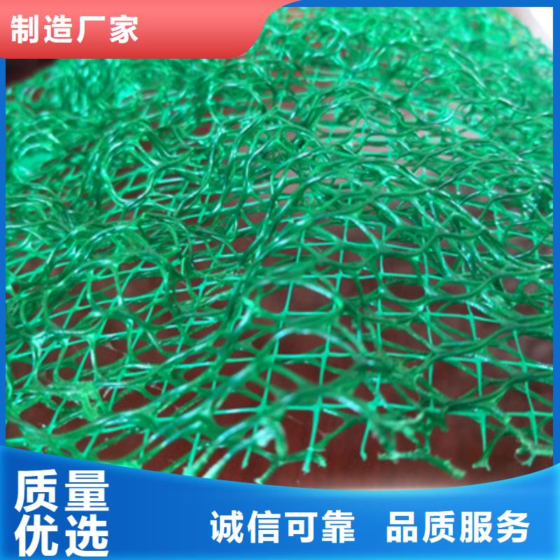 三维植被网厂家热销现货销售