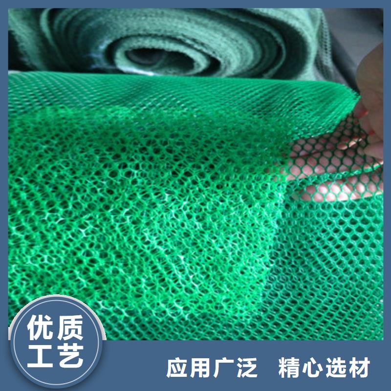 三维植被网厂家直销-欢迎新老客户来电咨询同城公司