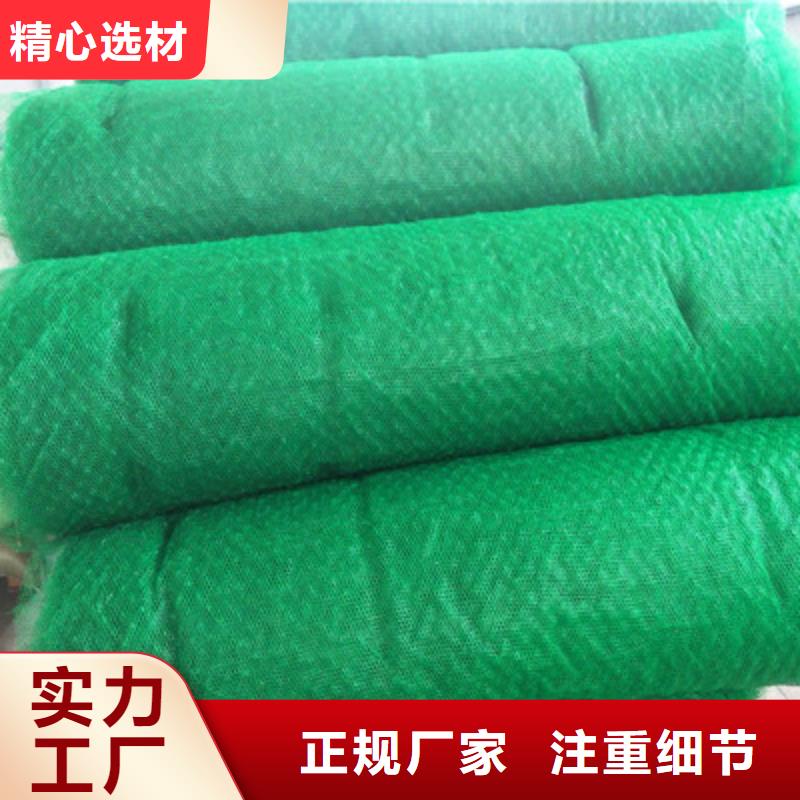 三维植被网-三维植被网按需定制实力商家