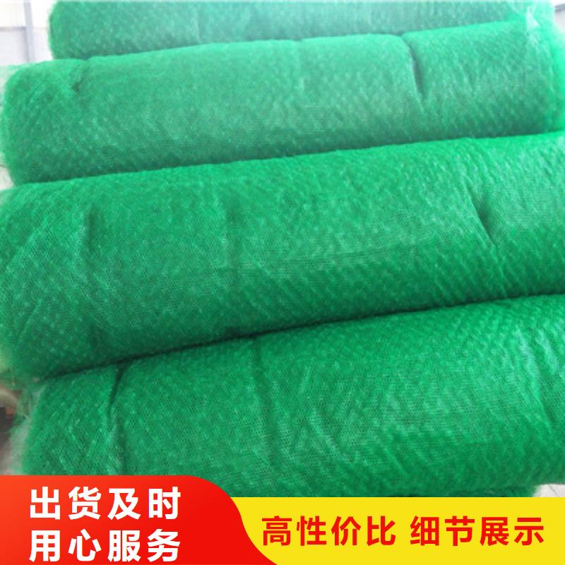 经验丰富的三维植被网厂家保障