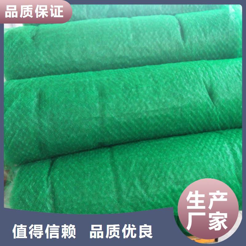 三维植被网质保2年本地厂家