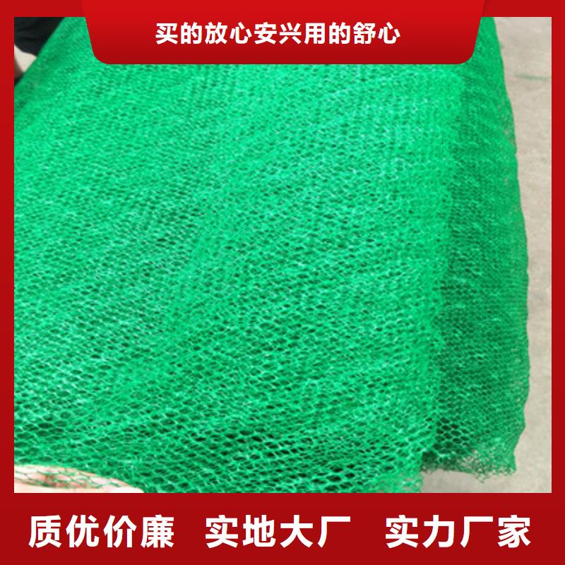 随时验厂##三维植被网##实力保障厂家型号齐全