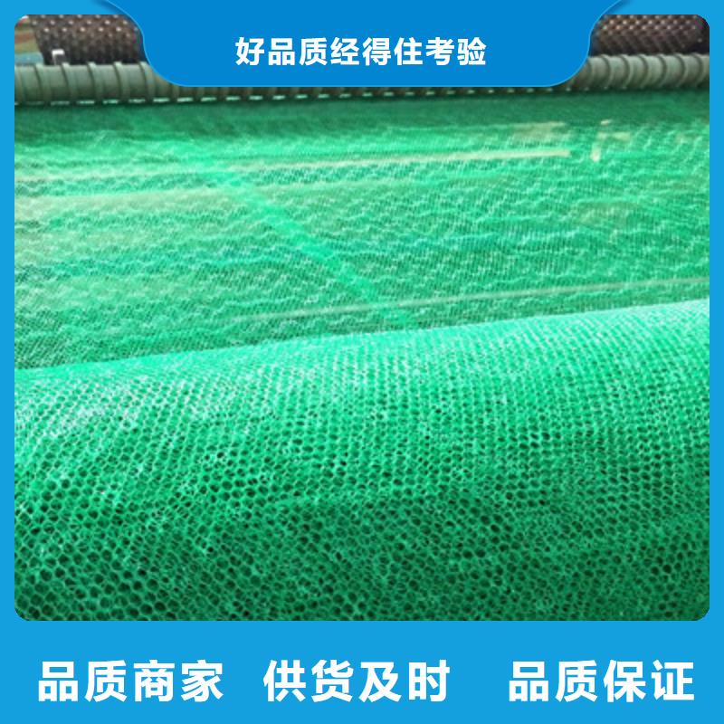 三维植被网厂家-价格合理好产品好服务