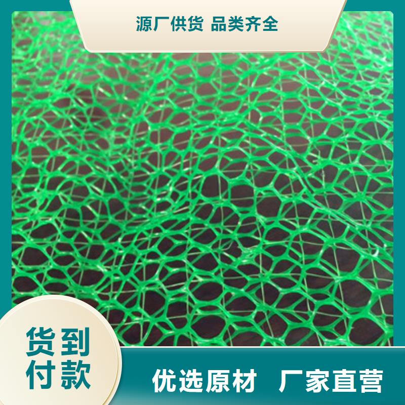 品牌的三维植被网生产厂家品质商家