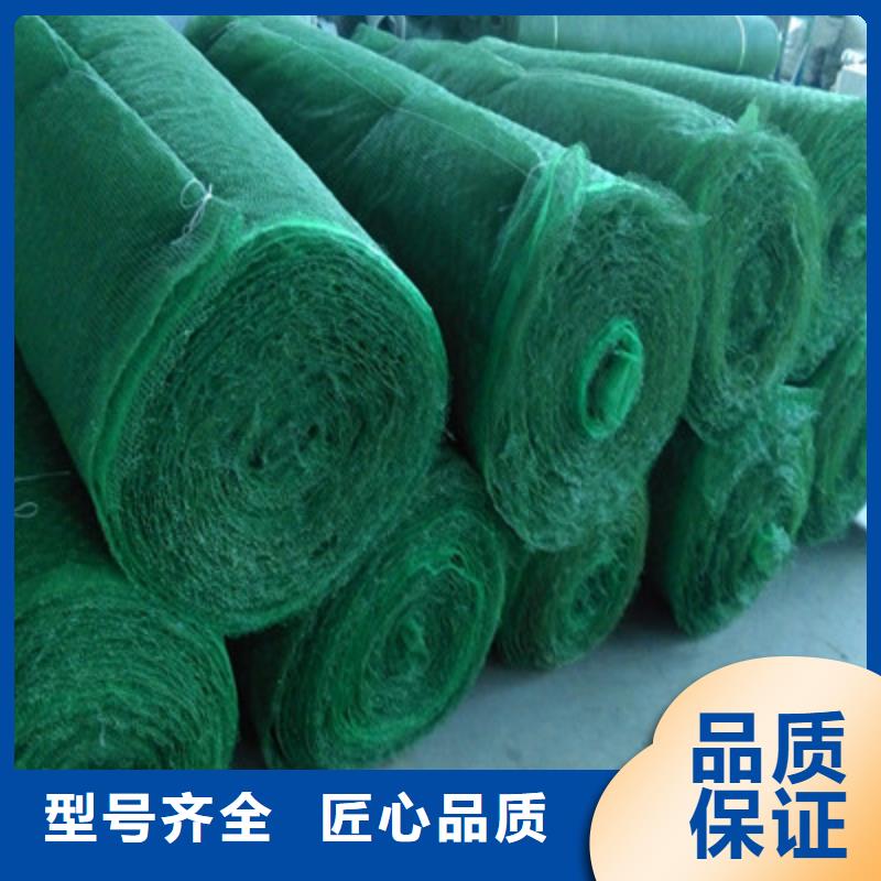 有现货的三维植被网经销商销售的是诚信