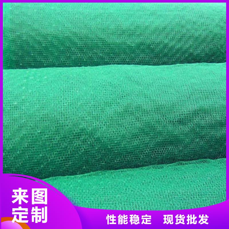 三维植被网品牌厂家价格优惠实力工厂