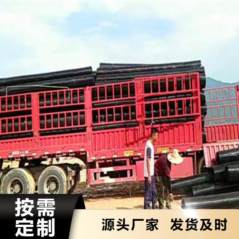 生产双向土工格栅_诚信企业生