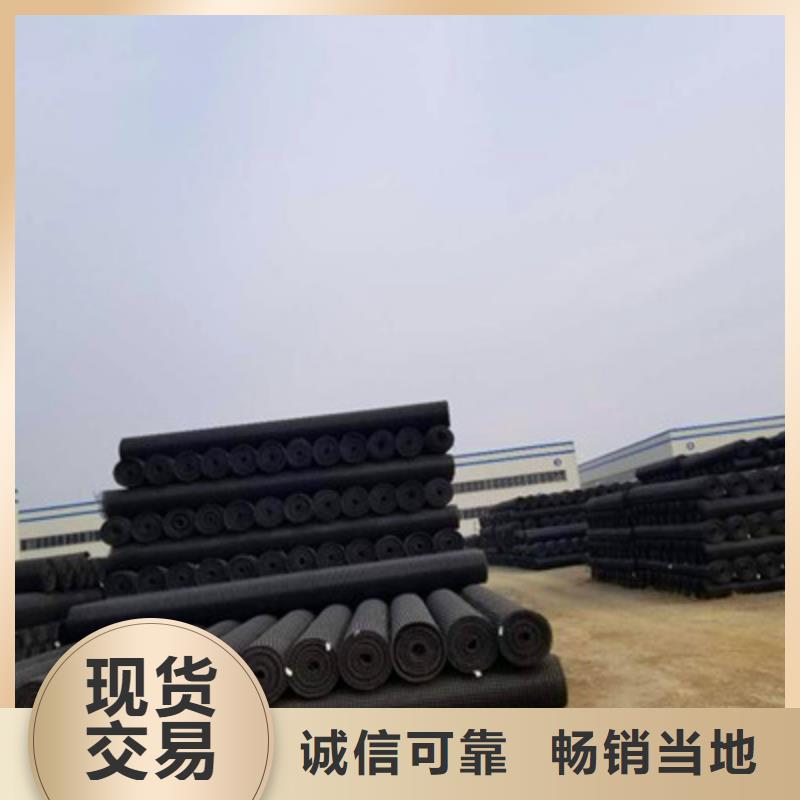 供应批发双向土工格栅-放心