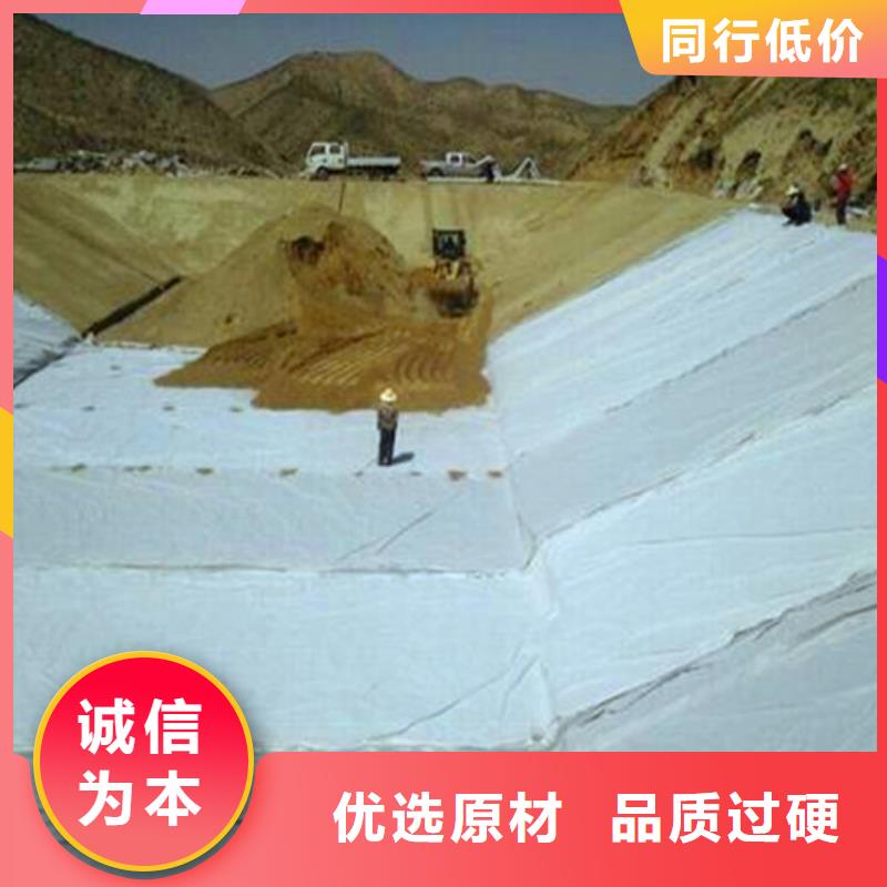 膨润土防水毯大型生产基地精挑细选好货