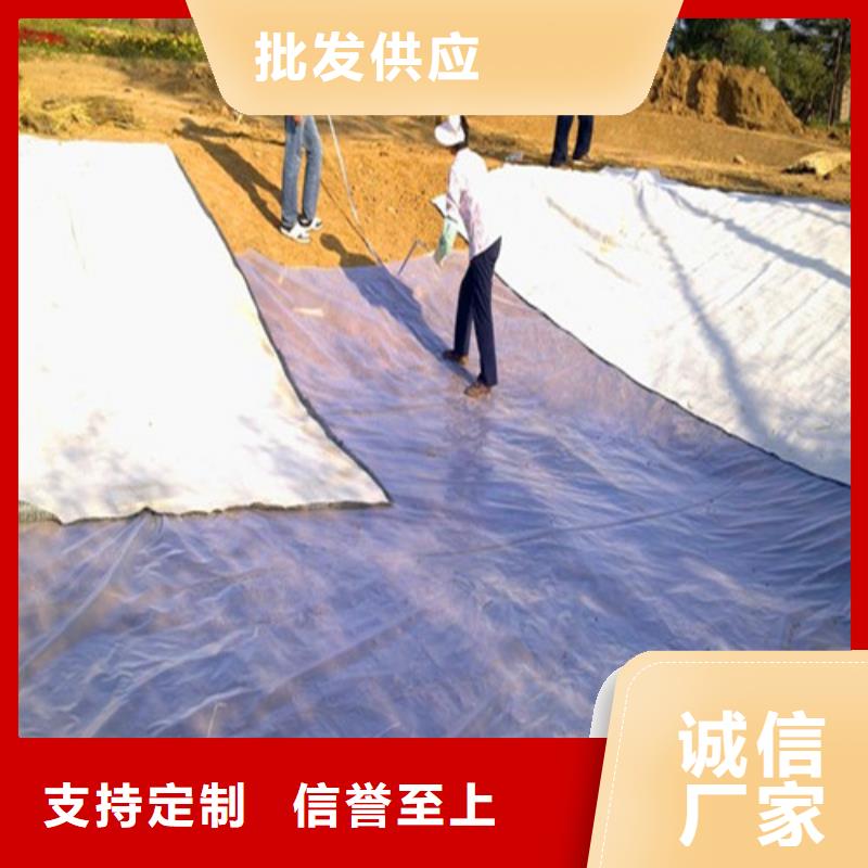 膨润土防水毯_量大从优现货实拍