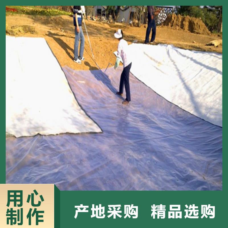 膨润土防水毯型号齐全