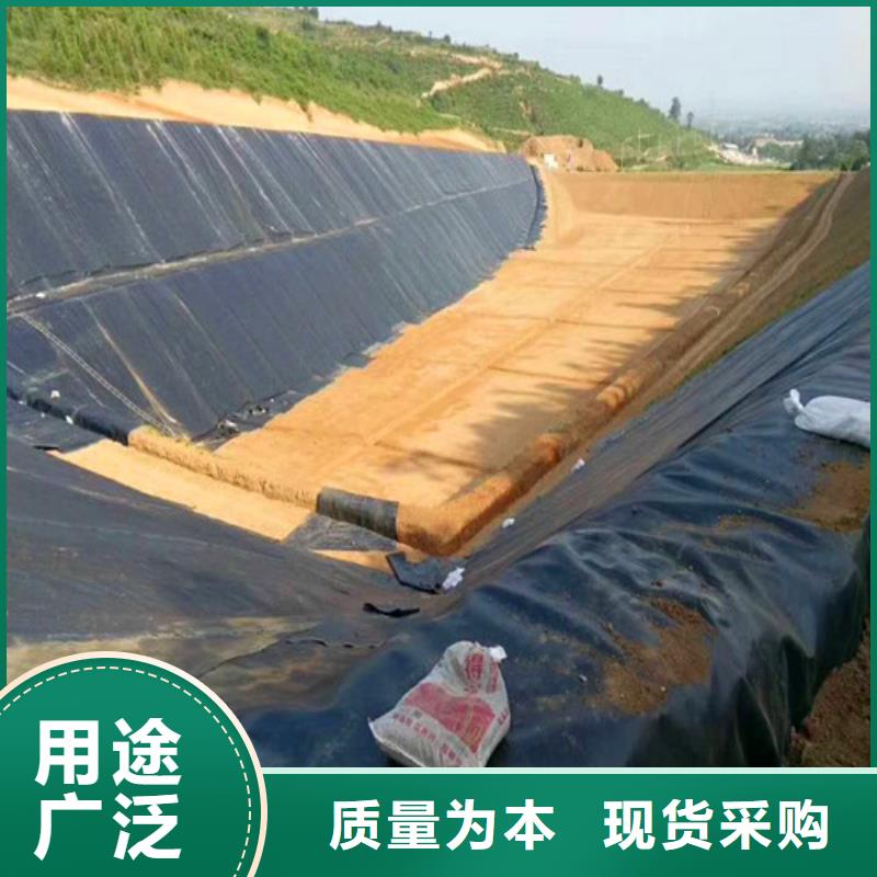 膨润土防水毯找东诺工程材料有限公司