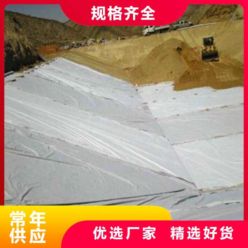 膨润土防水毯物美价廉