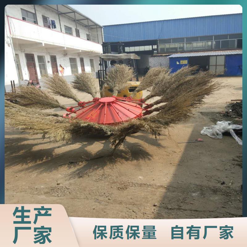 常年供应折叠式扫地机-报量