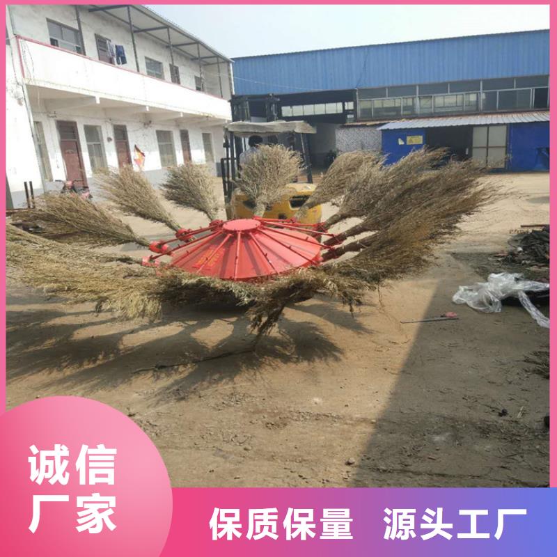 诚信的折叠式扫地机厂家