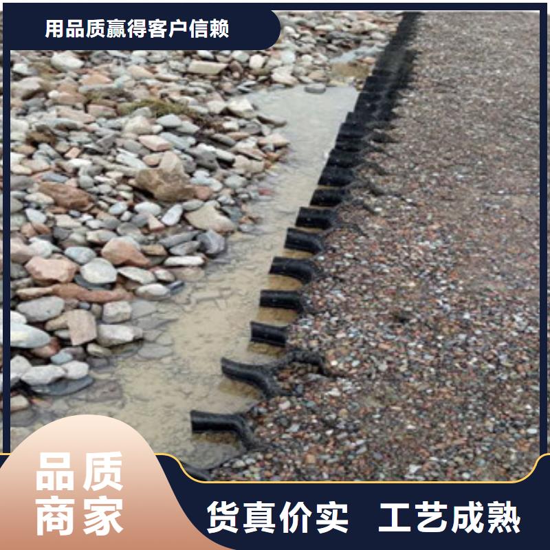 定制土工格室的厂家