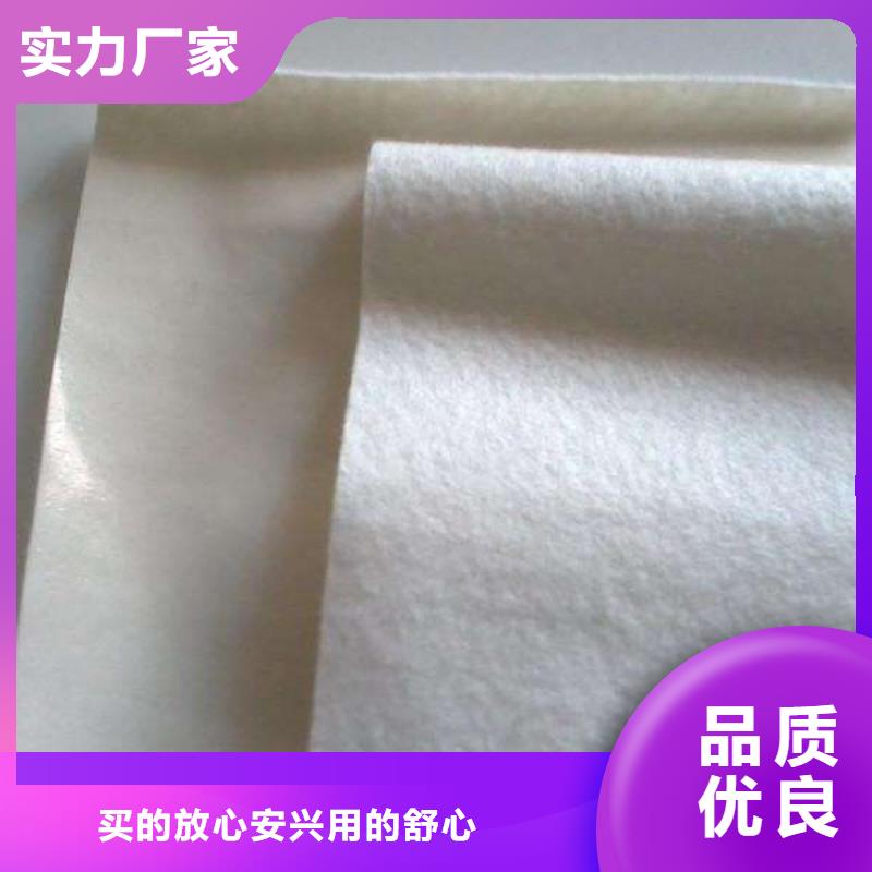 土工膜厂家